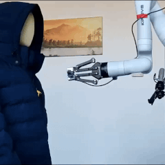 zipper_16fps_240.gif