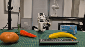 Distractor rollout