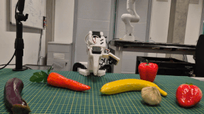 Distractor rollout