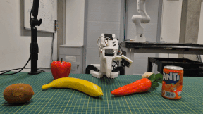 Distractor rollout