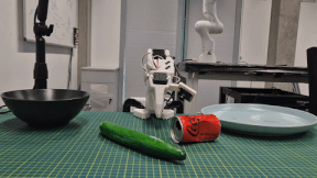 Unseen rollout